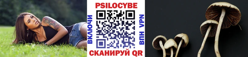KRAKEN сайт  Томилино  Псилоцибиновые грибы Psilocybe  как найти закладки 